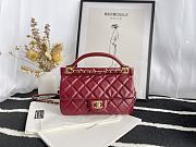Chanel Handbag Early Autumn 2021 (Burgundy)  - 1