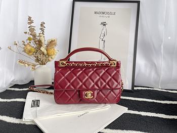 Chanel Handbag Early Autumn 2021 (Burgundy) 