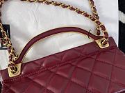 Chanel Handbag Early Autumn 2021 (Burgundy)  - 6