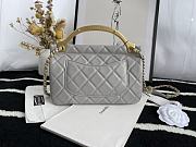 Chanel Handbag Early Autumn 2021 (Gray)  - 6