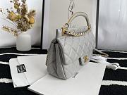 Chanel Handbag Early Autumn 2021 (Gray)  - 5