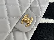 Chanel Handbag Early Autumn 2021 (Gray)  - 4
