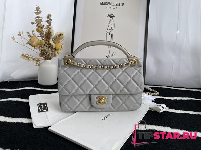 Chanel Handbag Early Autumn 2021 (Gray)  - 1
