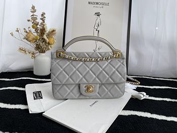 Chanel Handbag Early Autumn 2021 (Gray) 