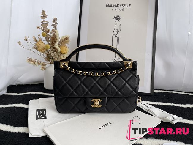 Chanel Handbag Early Autumn 2021 (Black)  - 1