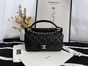 Chanel Handbag Early Autumn 2021 (Black)  - 1