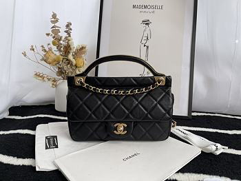 Chanel Handbag Early Autumn 2021 (Black) 