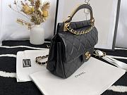 Chanel Handbag Early Autumn 2021 (Black)  - 5