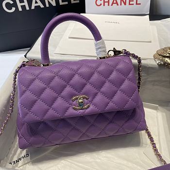 Chanel Large Flap Bag With Top Handle (Purple) 92993