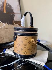 LV Cannes Vanity Bag M43986 - 5