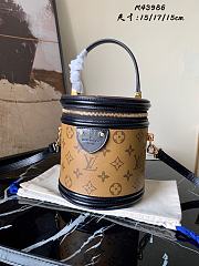 LV Cannes Vanity Bag M43986 - 1