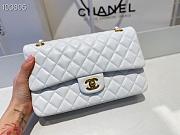 Chanel Medium Classic Double Flap Bag Lambskin Golden White A01112 - 2