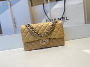 Chanel Medium Classic Double Flap Bag Beige Lambskin Silver Metal A01113  - 1