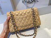 Chanel Medium Classic Double Flap Bag Beige Lambskin Silver Metal A01113  - 4