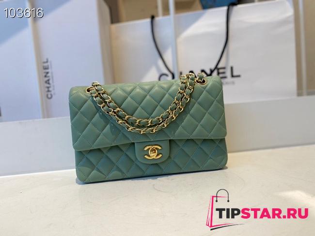 Chanel Medium Classic Double Flap Bag Green Lambskin Golden Metal A01113 - 1