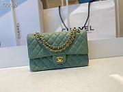 Chanel Medium Classic Double Flap Bag Green Lambskin Golden Metal A01113 - 1