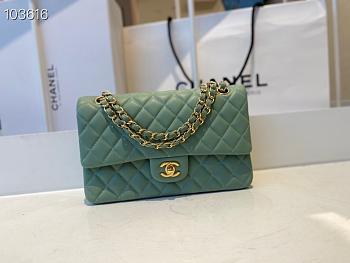 Chanel Medium Classic Double Flap Bag Green Lambskin Golden Metal A01113