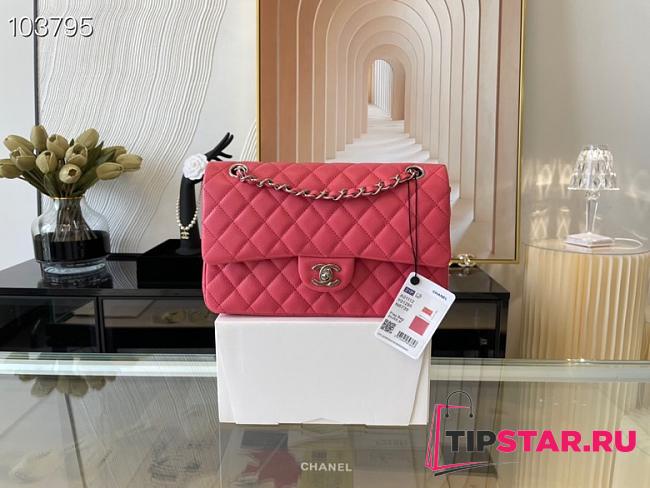 Chanel Classic Handbag Grained Calfskin & Metal-Tone Dark Pink A58600 25cm - 1