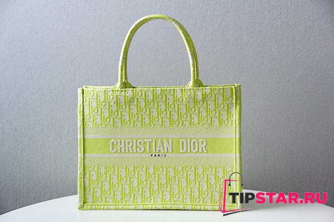 Dior Tote Book Green 41cm 1286  - 1