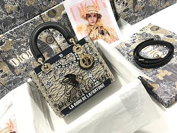 Dior Lady Medium Embroidered Fate Tarot Beaded Canvas Handbag 