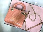 Dior Lady Water Snake Series (4) M0505 - 2