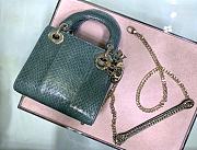 Dior Lady Water Snake Series (5) M0505  - 3