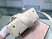 Lady Dior D-Lite Handbag With Five Vines And Vine Patterns Embodies Size: 17x15x7cm - 3