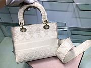 Lady Dior D-Lite Handbag With Five Vines And Vine Patterns Embodies Size: 17x15x7cm - 4