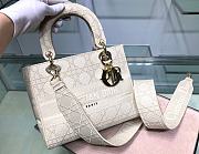 Lady Dior D-Lite Handbag With Five Vines And Vine Patterns Embodies Size: 17x15x7cm - 1