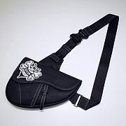 Dior Pre-Fall Saddle Bag 83146  - 1