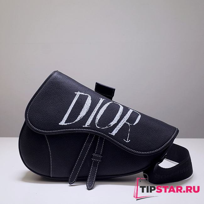 Dior Pre-Fall Men's Saddle Bag (3) 83146  - 1