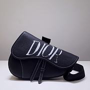 Dior Pre-Fall Men's Saddle Bag (3) 83146  - 1
