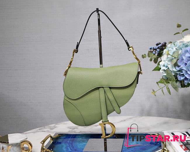 Dior Saddle Palm Pattern Large Matcha Green M9001  - 1