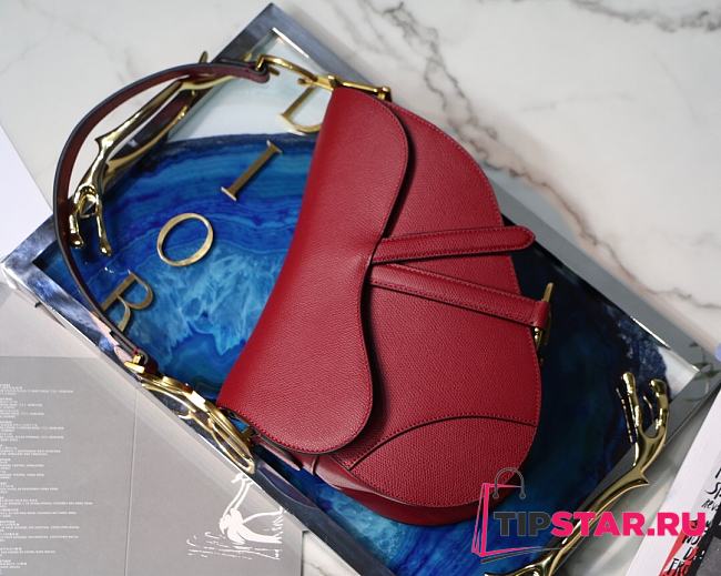 Dior Saddle Palm Pattern Large Retro Red M9001 - 1