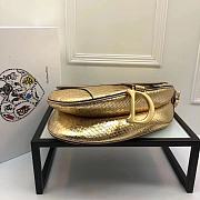 Dior Saddle Top Python Skin (5) M9001 - 3
