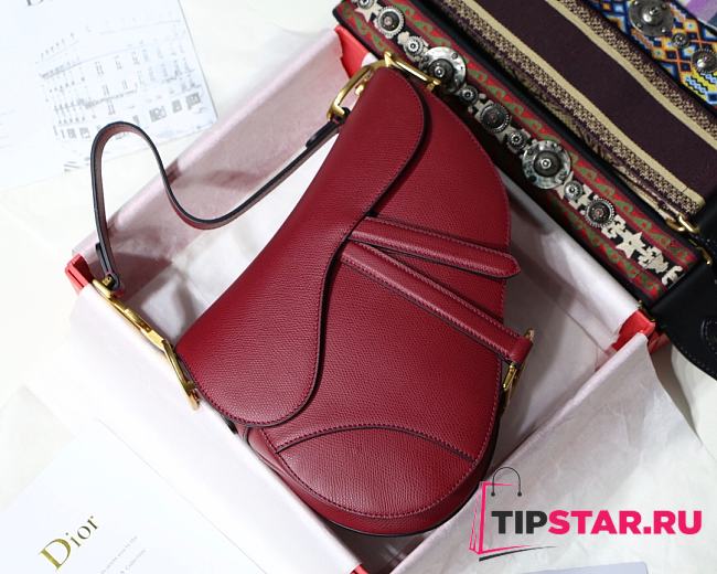 Dior Saddle Palm Pattern Red 25cm - 1