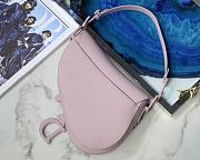 Dior Saddle Frosted Color Button  - 3