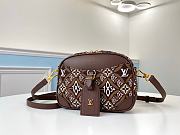 Louis Vuitton Denim Camera Bag M45528 Deep Coffee  - 1