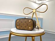 Louis Vuitton Vanity PM Monogram in Brown M45165  - 2