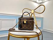 Louis Vuitton Vanity PM Monogram in Brown M45165  - 1