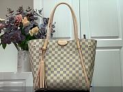 Louis Vuitton Propriano White Handbag Damier Bag N44027 - 1