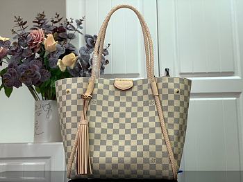 Louis Vuitton Propriano White Handbag Damier Bag N44027