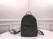 Louis Vuitton Backpack PM Monogram Titanium M43882  - 1