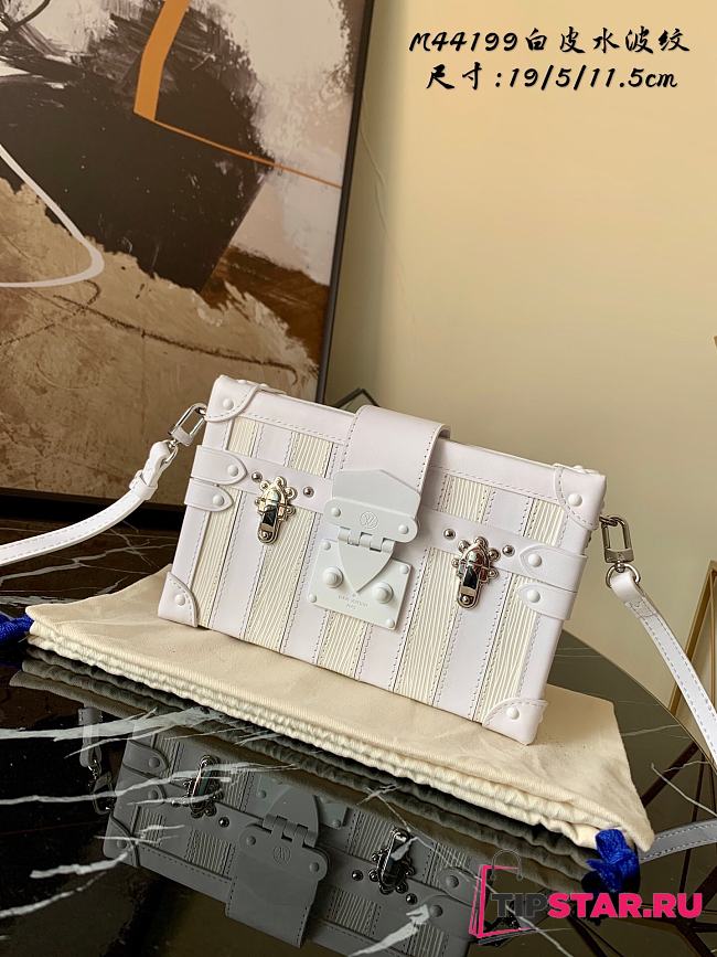 Louis Vuitton Petite Malle Epi Leather Matte Box Bag White M44199   - 1