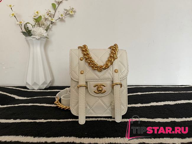 Chanel New Mini Messenger Bag White AS2695  - 1