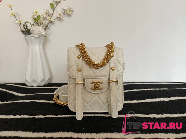 Chanel Mini flap bag aged calfskin & gold-tone metal in white AS2695 size 17cm - 1