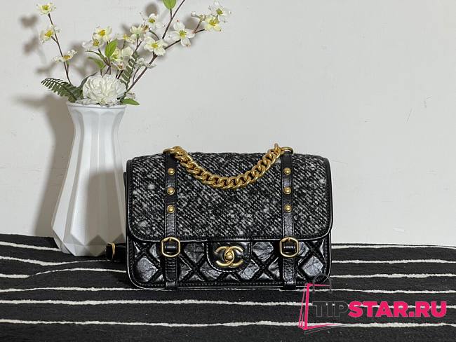 Chanel Flap bag aged calfskin & gold-tone metal tweeds fabrics AS2696 size 25cm - 1