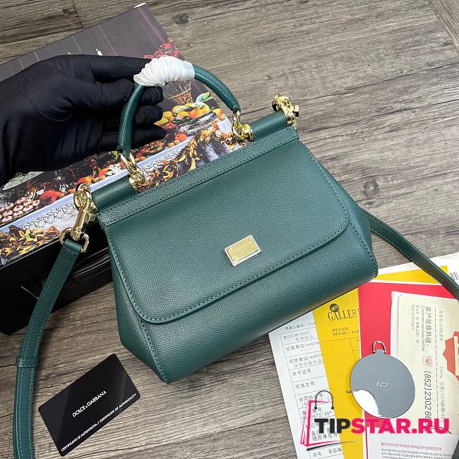 D&G Small dauphine leather Sicily bag in green size 20cm - 1