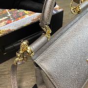 D&G Small dauphine leather Sicily bag in silver size 20cm - 5