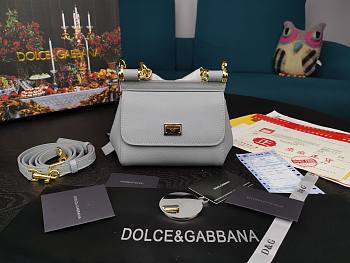D&G dauphine leather Sicily bag in gray size 16cm